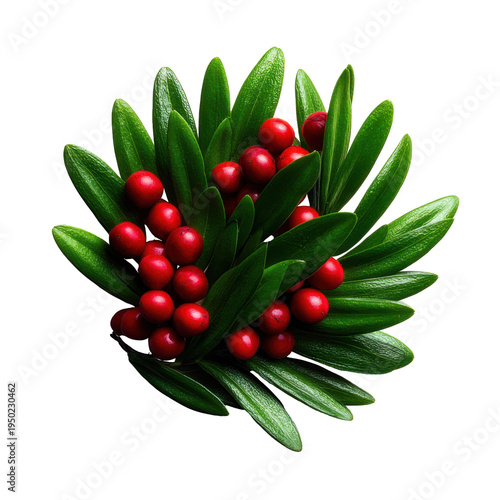 Festive holiday wreath with pine leaves and red berries home decor seasonal close-up view