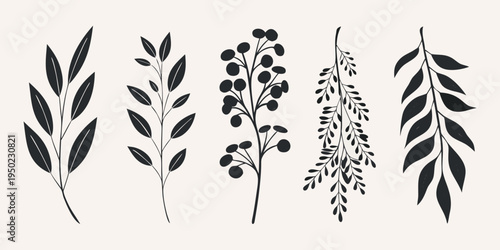Elegant botanical illustration featuring various black branches and leaf designs