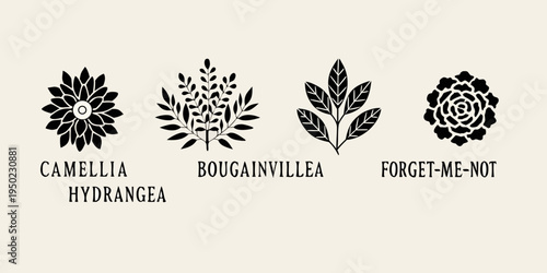Floral illustrations depicting camellia bougainvillea forget me not and hydrangea