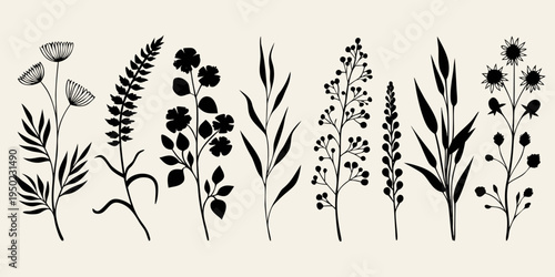 Elegant floral silhouettes depicting various wild grasses and botanical elements
