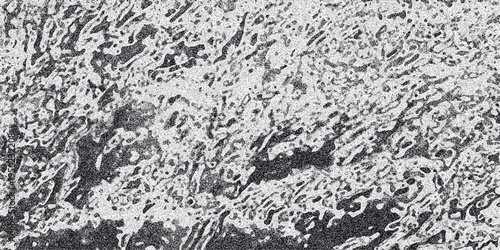 Abstract textured monochrome background with organic cellular patterns and grainy detail creating a visually complex and organic surface effect