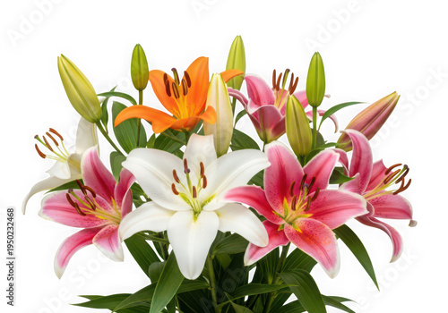A bouquet of pink, white, and orange lilies with green leaves