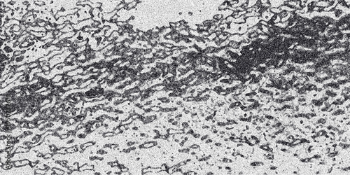 Monochromatic abstract background featuring flowing organic shapes and a speckled granular texture, offering a dynamic and visually engaging surface for creative projects