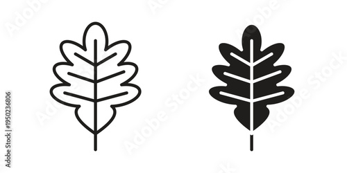Canvas Print Oak Leaf icon line vector illustration in solid color design