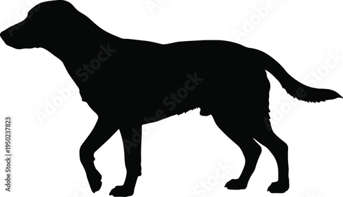 Black silhouette dog standing walking posture vector design animal profile minimal style