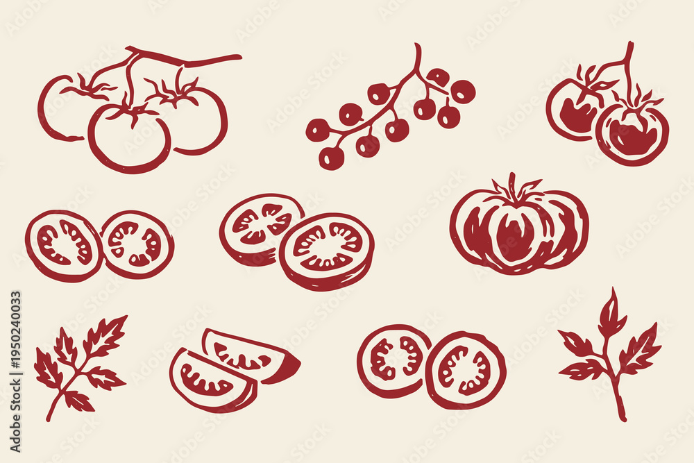 Fototapeta premium Tomato set outline sketch vector illustration