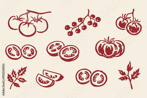 Tomato set outline sketch vector illustration