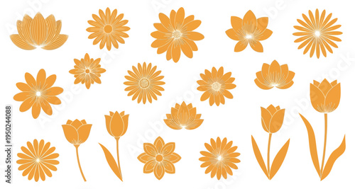 An assortment of vibrant orange floral illustrations on a white background