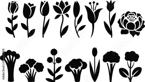 Black silhouette botanical flowers and plants collection, floral vector illustration set, decorative nature design elements for education and creativity