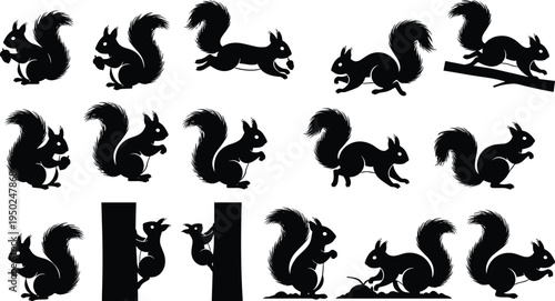 Black squirrel silhouette set, jumping running poses, woodland animal vector collection, playful wildlife icons isolated on white background