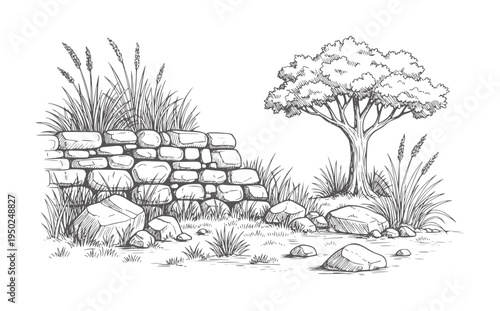 Of a stone wall with tall grass and a solitary tree rock