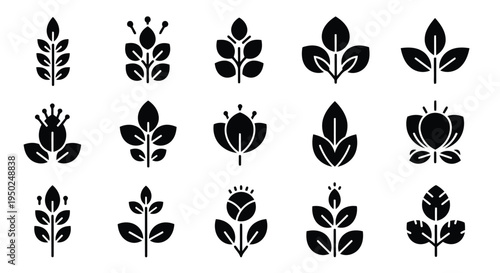 A collection of various flower illustrations showcasing different types and designs