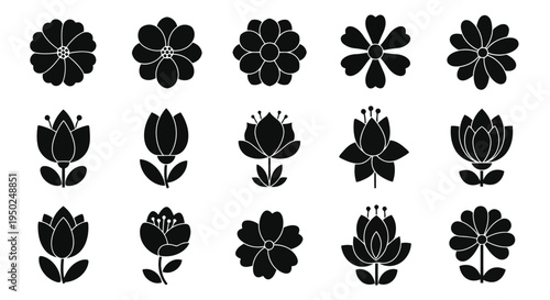 A collection of various flower illustrations showcasing different shapes and forms