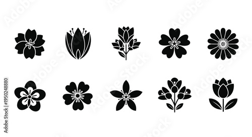 A collection of various flower illustrations showcasing different types and styles