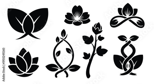 A collection of various intricate and elegant floral designs in black