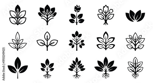 A collection of various intricate and elegant floral designs in black and white