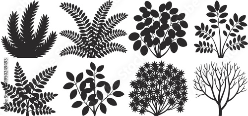 Botanical plant silhouettes collection, black vector leaves and shrubs illustration isolated on white background for nature design