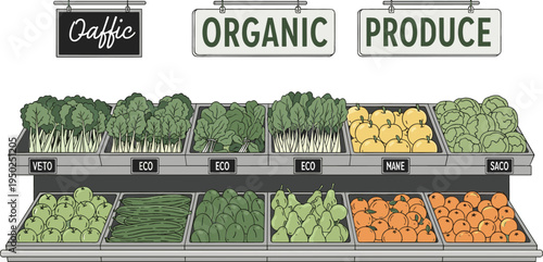 Organic Produce Display at Grocery Store with Fresh Vegetables and Fruits