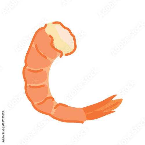 Peeled orange shrimp without head. Vector illustration. Headless shrimp with tail, isolated on white background. Cartoon style clipart.