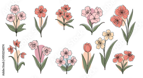 Beautiful collection of hand-drawn floral illustrations featuring diverse flower species with green leaves and soft colorful background shapes.