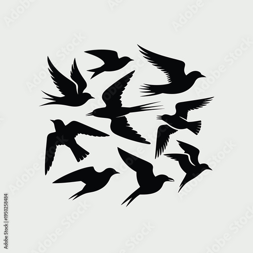 A flock of black birds in flight forming a dynamic circular shape