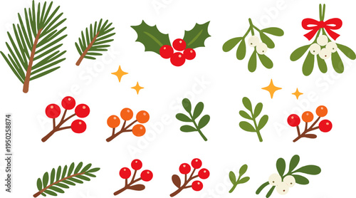 Festive botanical elements: pine, holly, berries, and mistletoe illustrations