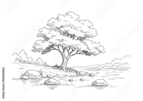 Of a large tree by a river with rocks in the water nature landscape