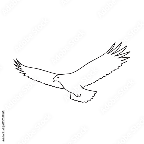 Line drawing of an eagle in flight with outstretched wings and sharp talons flying