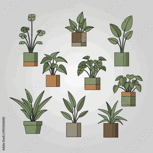 Collection of potted houseplants in minimalist geometric pots, flat design illustration