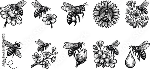 Linocut bee icon pack with bold hand-carved lines, vintage engraving texture, high-contrast black vector, featuring bees collecting pollen, hovering, pollinating flowers, and orchard blossoms.