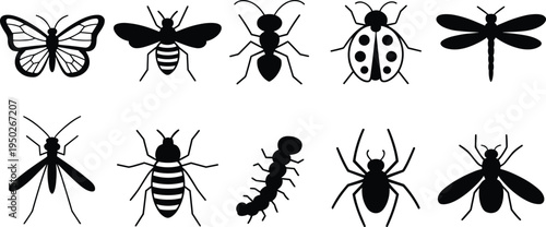 insect silhouettes set, butterfly bee ant ladybug dragonfly mosquito spider bug collection, nature wildlife icon illustration isolated