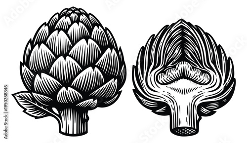 Engraving illustration set of 2 artichokes depicting whole and cross section views for culinary and botanical design