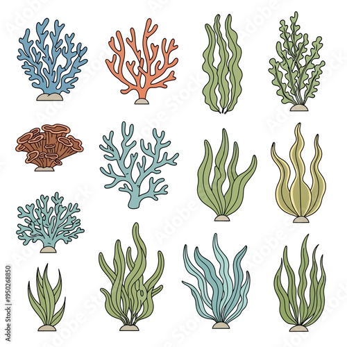 Colorful Underwater Plants and Corals Collection Vector Illustration