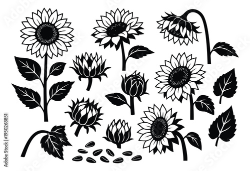 Silhouette icon set of 11 sunflower elements featuring blooms, buds and seeds for botanical design