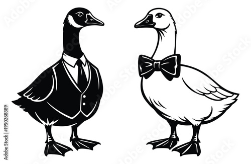 Bold cartoon illustration of two elegant geese wearing formal attire depicting dressed waterfowl for wedding and event design