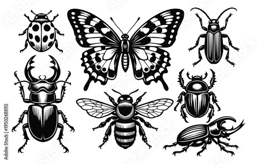 Engraving style icon set of 7 insect specimens featuring butterfly, beetle and bee for natural history design