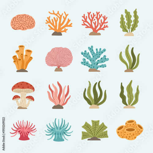 Colorful Underwater Coral Reef Organisms and Seaweed Collection