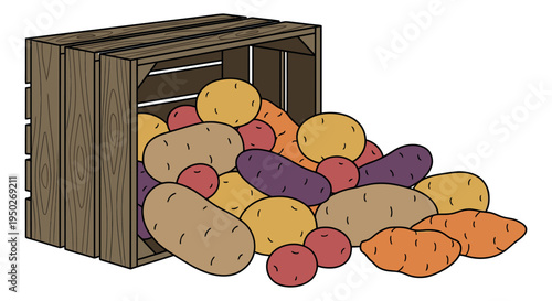 Cartoon illustration of wooden crate with colorful potatoes depicting harvest produce for agriculture and food design