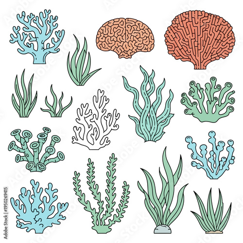 Colorful Coral Reef Elements and Seaweed Collection - Underwater Nature Illustration