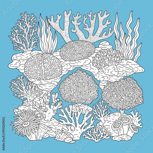 Detailed Coral Reef Illustration - Underwater Marine Life