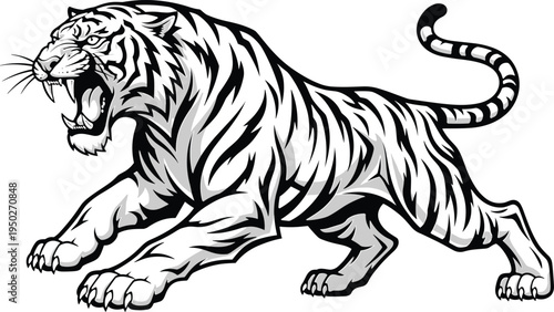 Roaring tiger illustration vector, aggressive wild animal predator design with stripes powerful big cat wildlife mascot graphic artwork