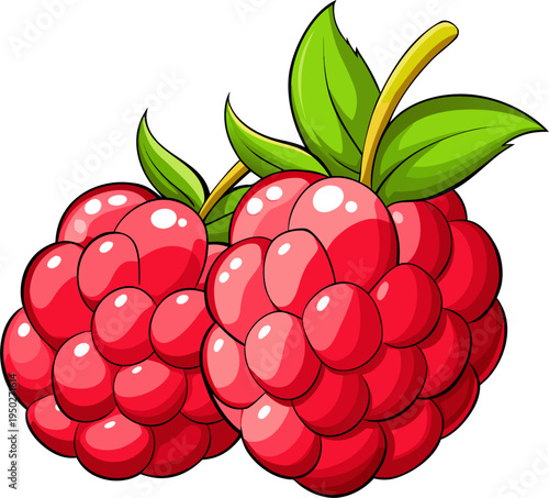 Raspberry Vector Illustration – Fresh Berry Fruit Graphic