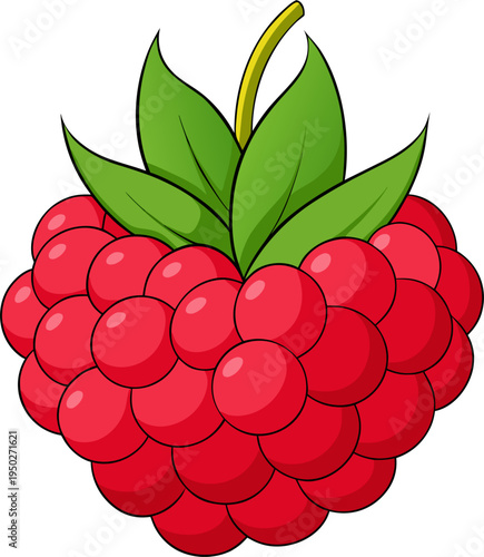 Raspberry Vector Illustration – Fresh Berry Fruit Graphic