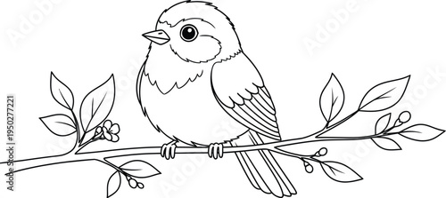Charming little bird with an adorable round body perched gently on a delicate leafy branch, waiting to be colored.