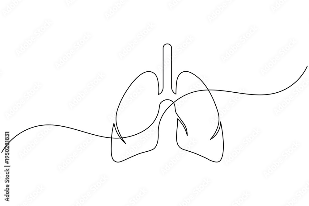Fototapeta premium Simple human lungs continuous one line drawing minimalist medical anatomy outline isolated on white background
