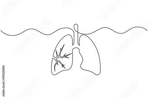 Human lungs with internal veins continuous one line drawing minimalist medical respiratory outline isolated on white background