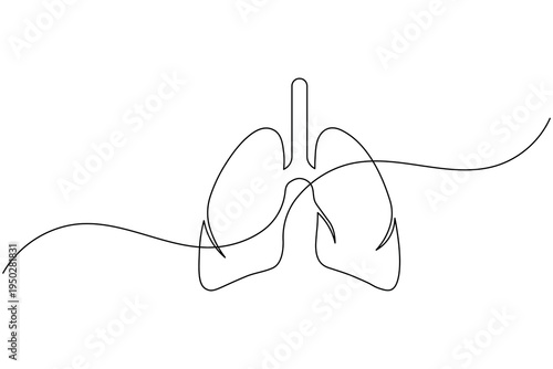 Simple human lungs continuous one line drawing minimalist medical anatomy outline isolated on white background