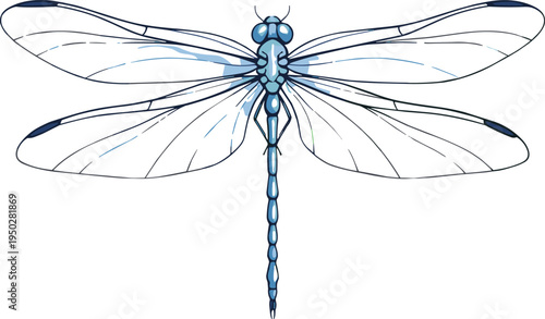 Elegant dragonfly line art illustration with transparent wings, minimalist insect vector design isolated on white background for nature, wildlife, tattoo, logo, and decorative graphics