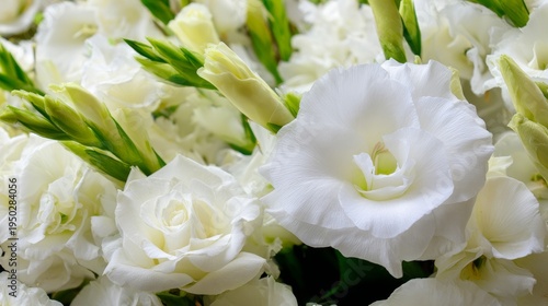 White funeral flowers symbolizing condolence, sympathy mourning in memorial ceremony setting, delicate floral arrangement representing respect, remembrance, grief, farewell peaceful tribute concept