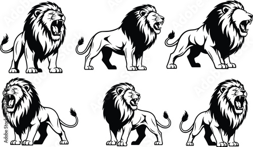 Collection of black lion silhouettes roaring in different poses isolated on white background for majestic sports mascot and power branding